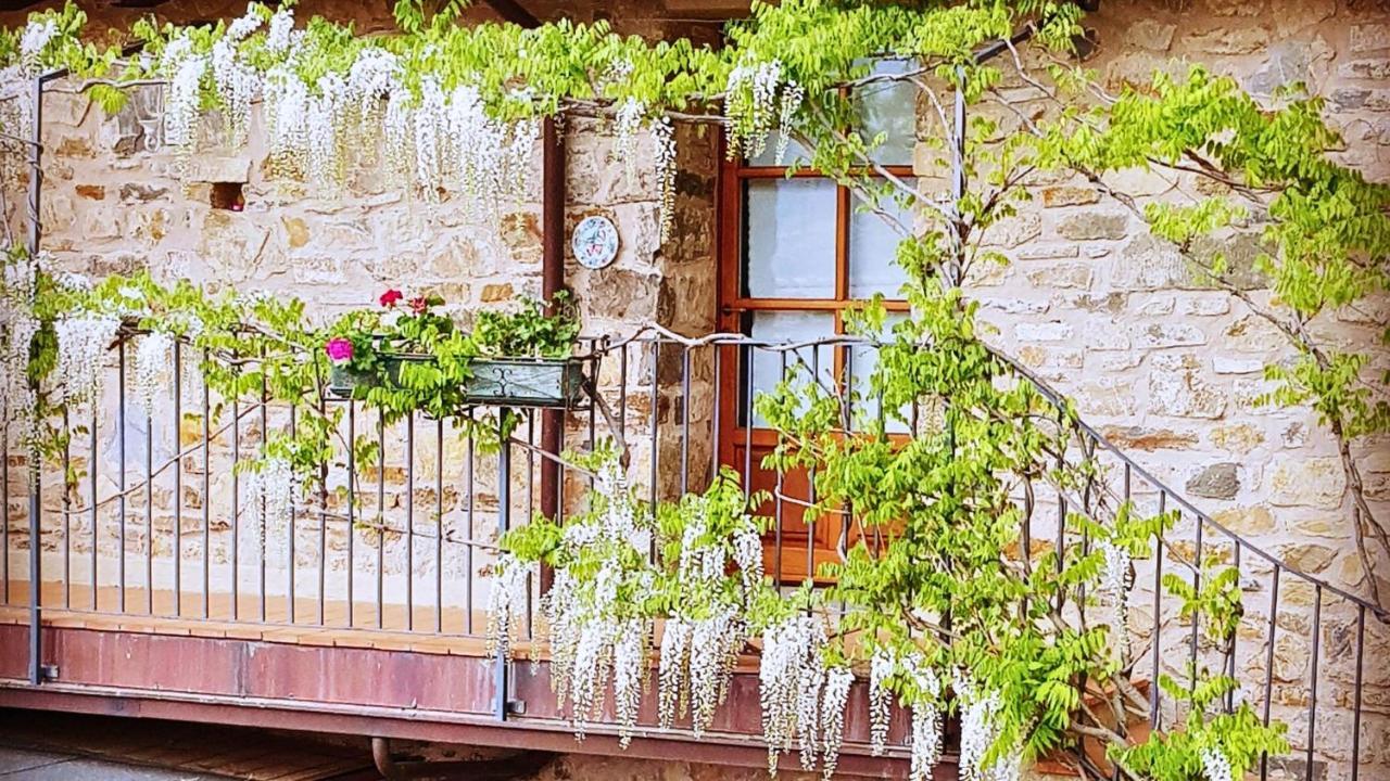 Hotel Podere Conti Filattiera Zewnętrze zdjęcie