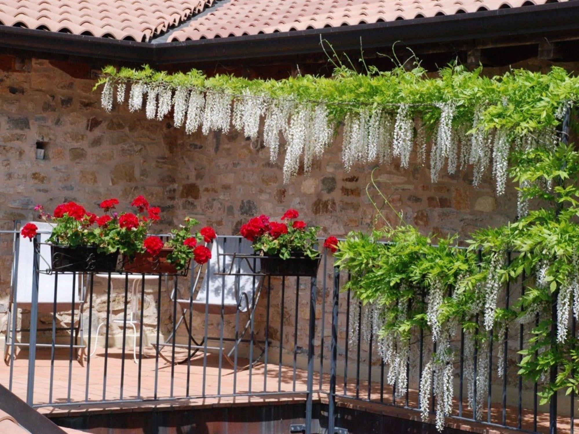 Hotel Podere Conti Filattiera Zewnętrze zdjęcie